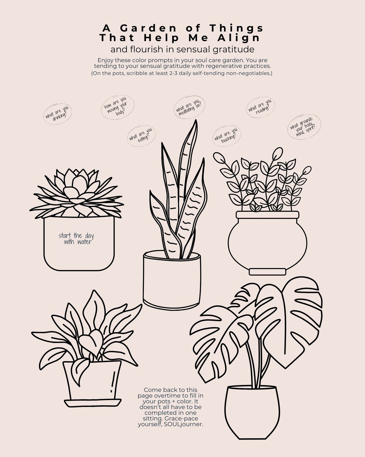 Journal d'intentions de 30 jours | Couverture souple avec suggestions de couleurs